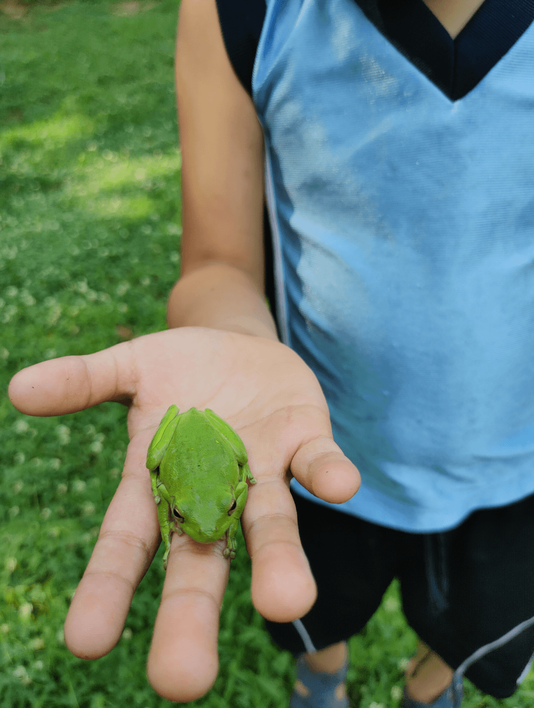 Little Doodles Bilingual Daycare